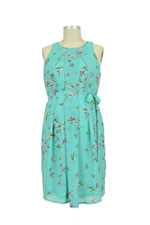 Spring Carmene Bird Print Nursing Dress by Spring Maternity