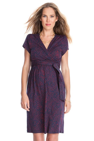 Seraphine Abba SS Maternity & Nursing Dress by Seraphine